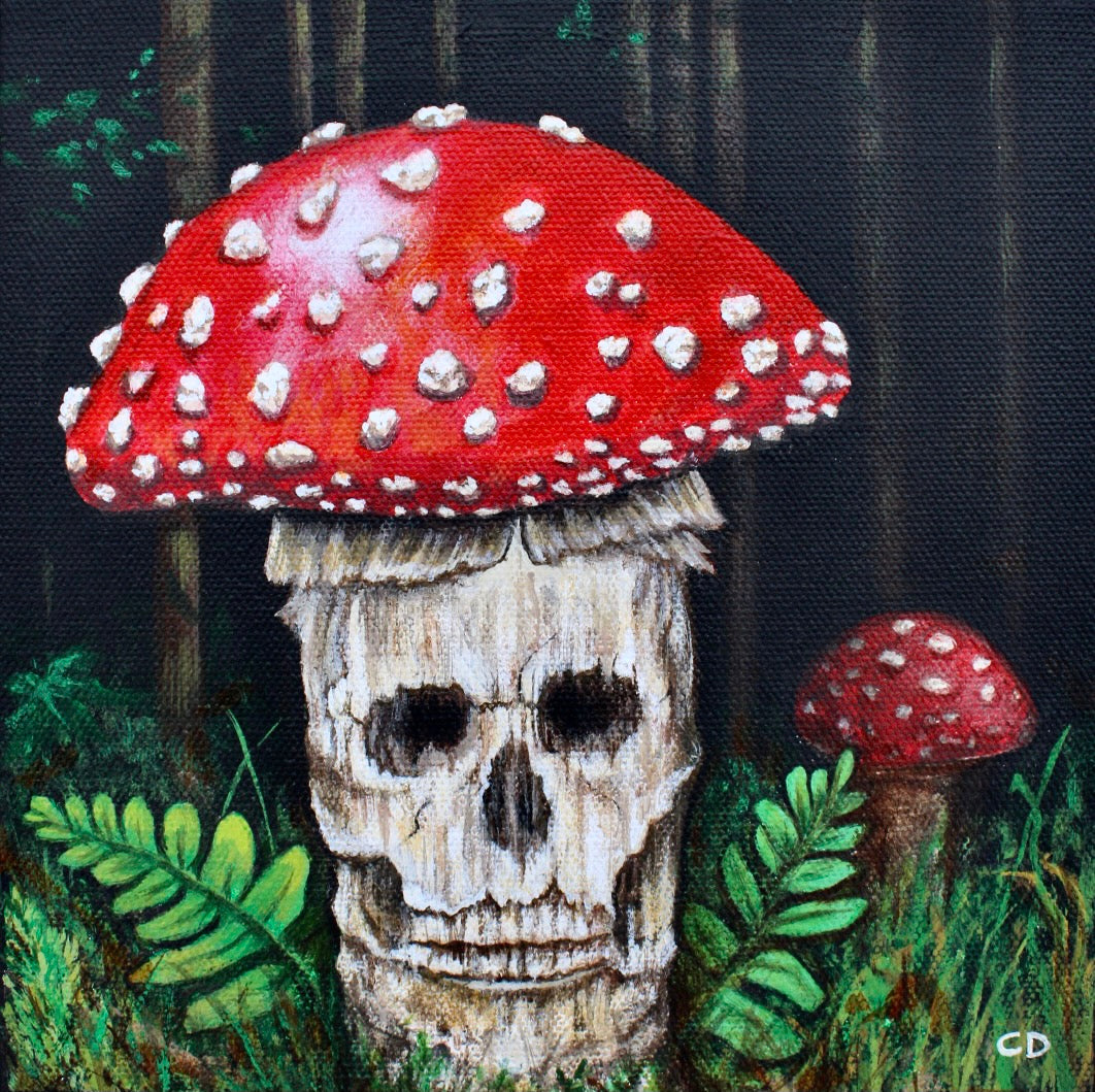 Cyndi Dodes "Haunted Mushroom"