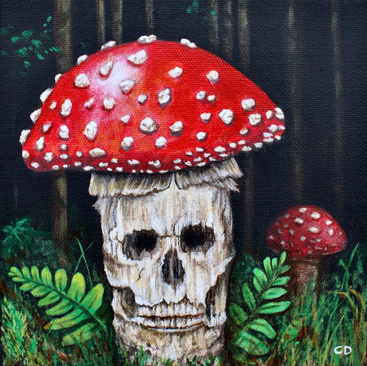 Cyndi Dodes "Haunted Mushroom"