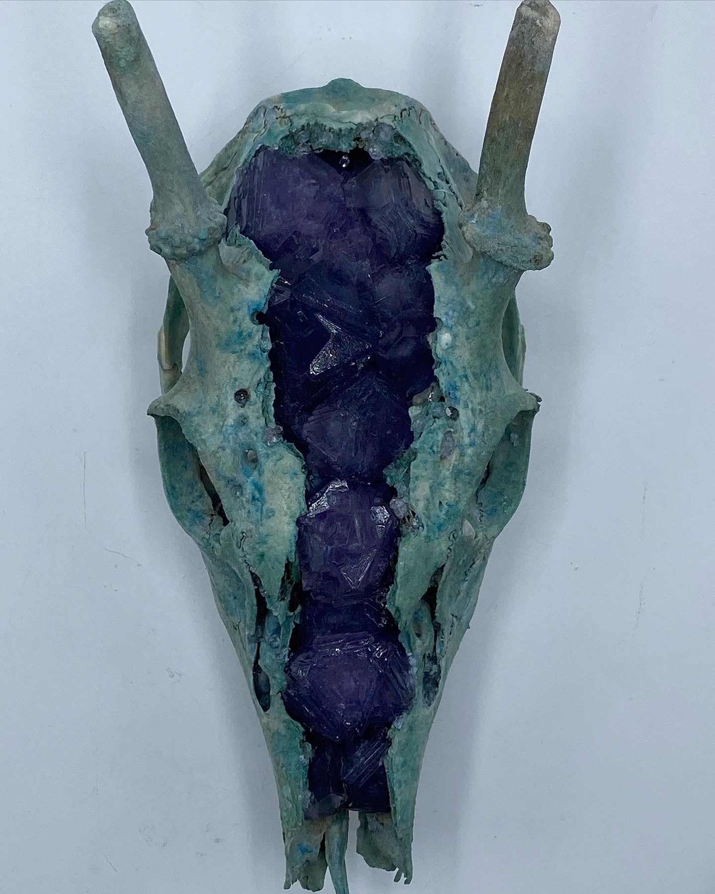 Codyak Dunham Roe Deer Crystal Skull Geode