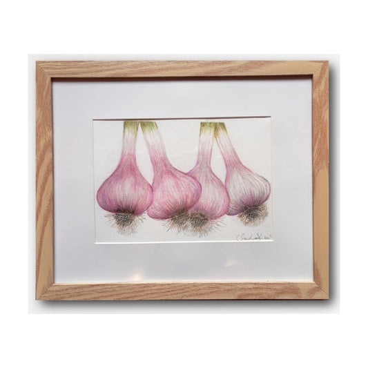 Claudia Kimberly "Garlic #4"