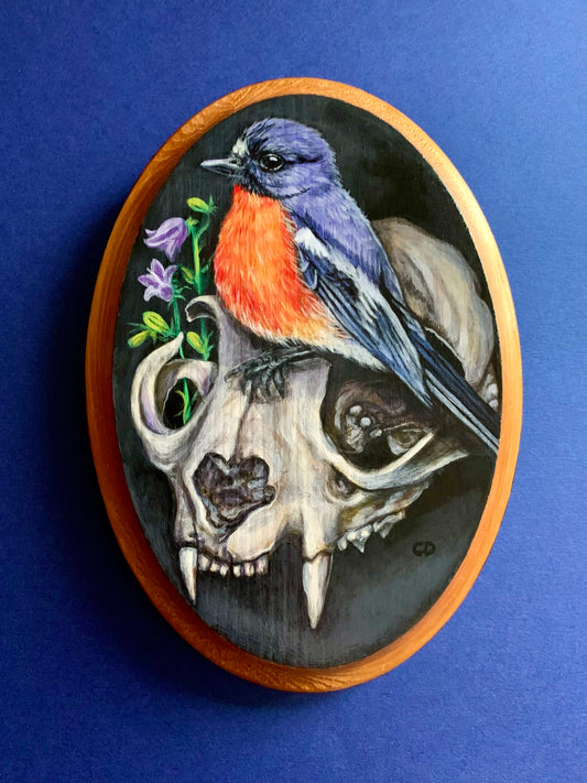 Cyndi Dodes "Cat Skull with Bird"