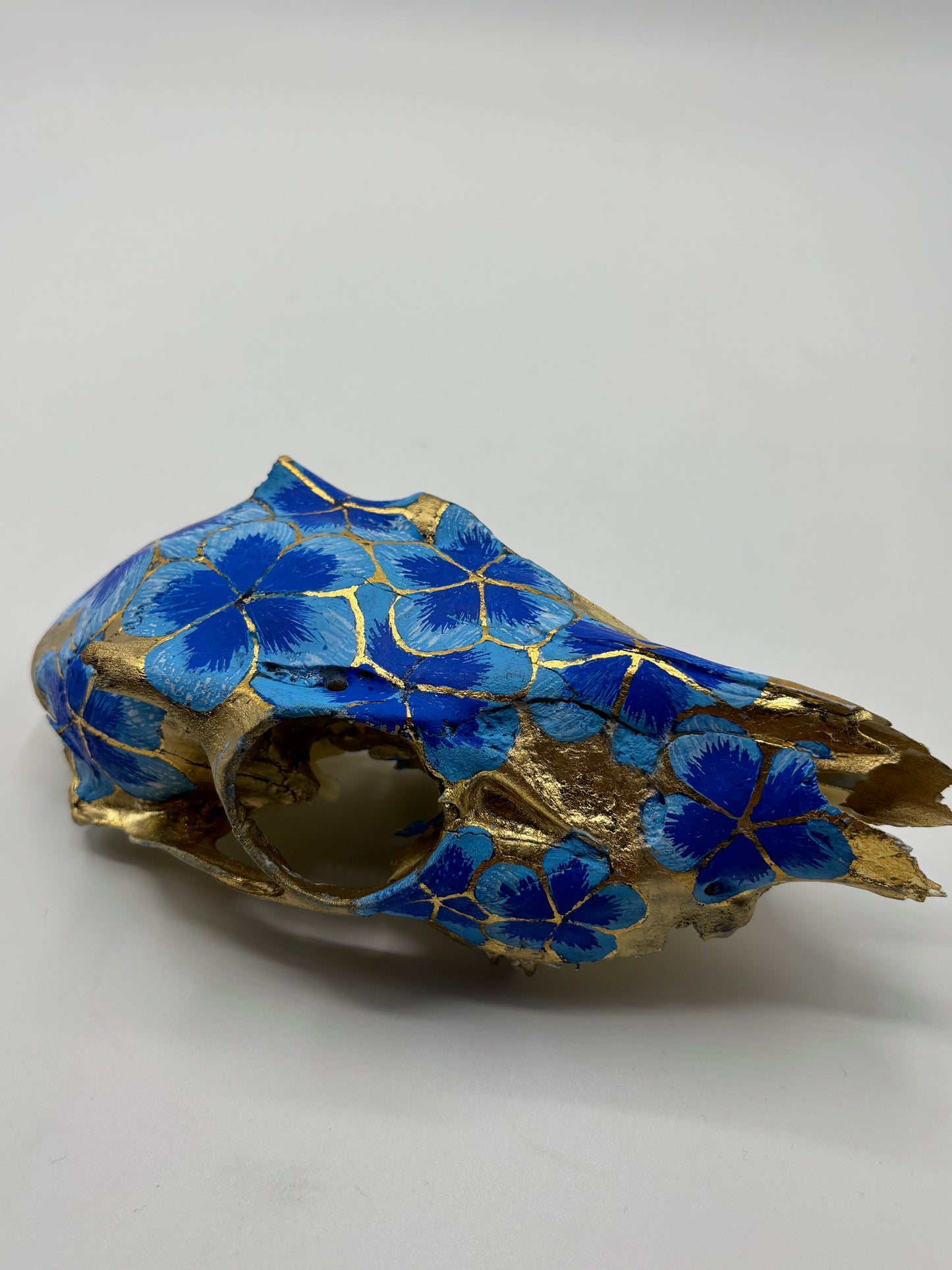 Codyak Dunham "Porcelain" Painted Roe Deer Skull