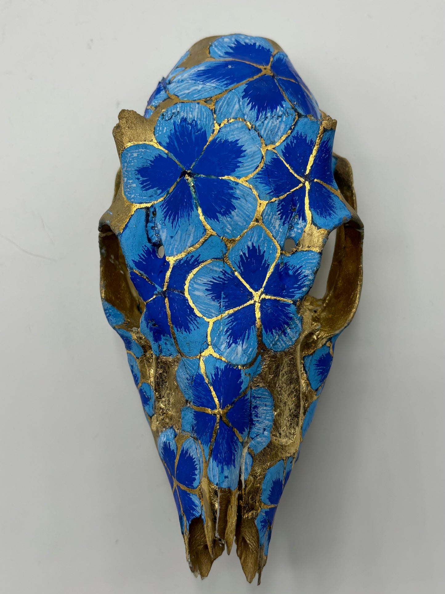 Codyak Dunham "Porcelain" Painted Roe Deer Skull