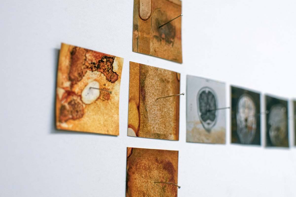 Sarah Joy "no recovery, only endurance" (Online)