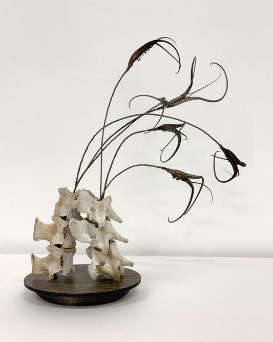 Julie Anne Mann "Devil’s Claw"
