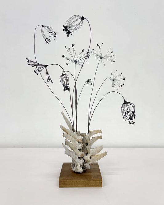 Julie Anne Mann "Wild Carrot / Queen Anne's Lace"