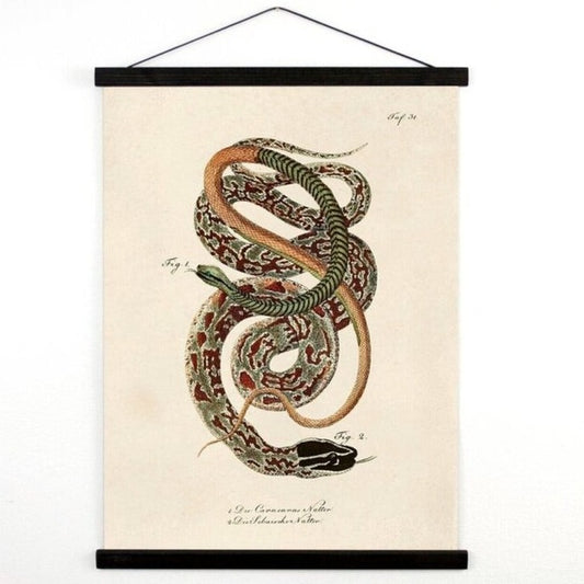 Curious Prints French Snake II Hanging Print