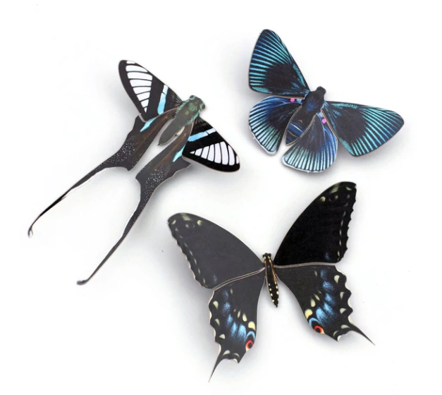 Moth & Myth "Midnight Butterfly" 3 Pack Set