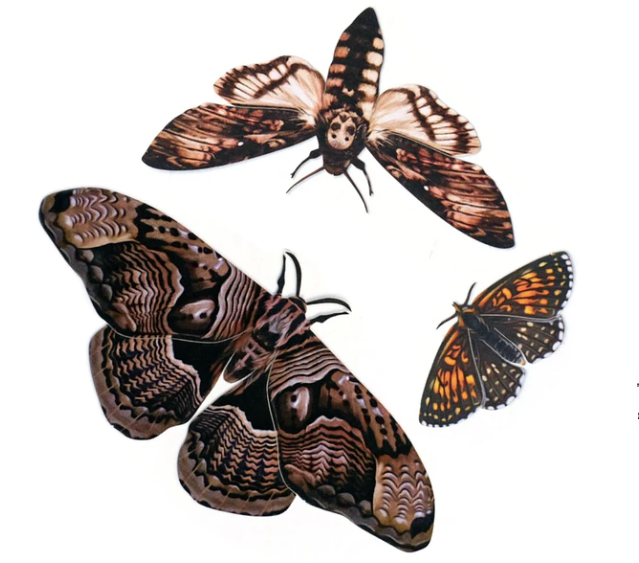 Moth & Myth "Hellebore" Moth Set