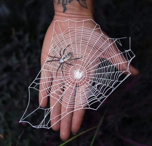 Conjunto de telaraña y araña "Weaver" de Moth &amp; Myth 