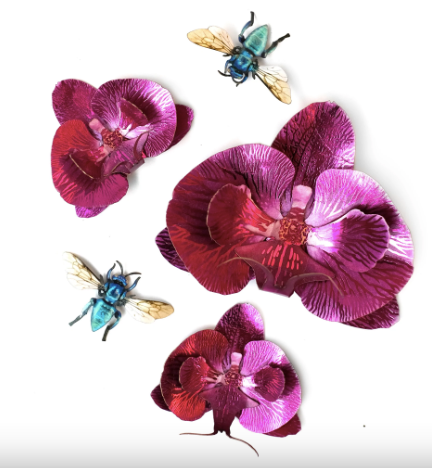 Moth & Myth "Bloom" Orchid Set
