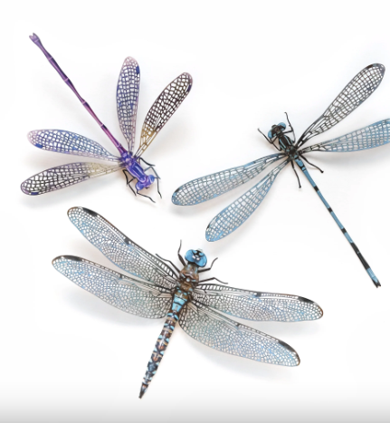 Moth & Myth "Aerial" Dragonfly Set