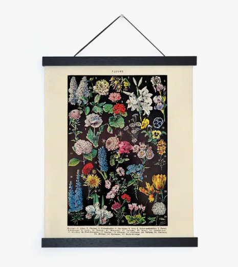 Curious Prints "Vintage Botanical Fleurs" Garden Flower Print