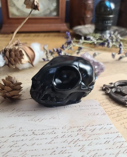 Curio Resins Black Cat Skull