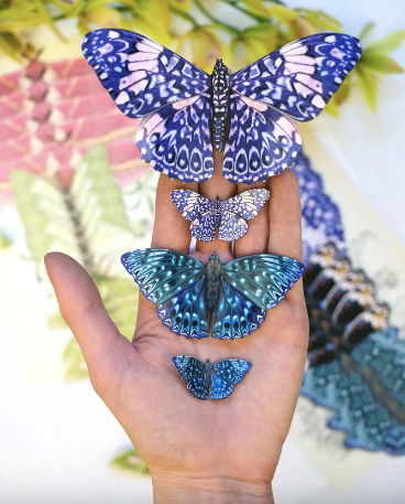 Moth & Myth "Celestial Butterfly" 3 Pack Set